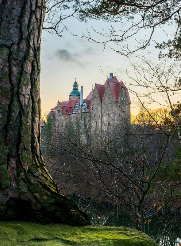 замок Чоха в Польше