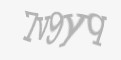 Защитный код