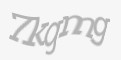 Защитный код