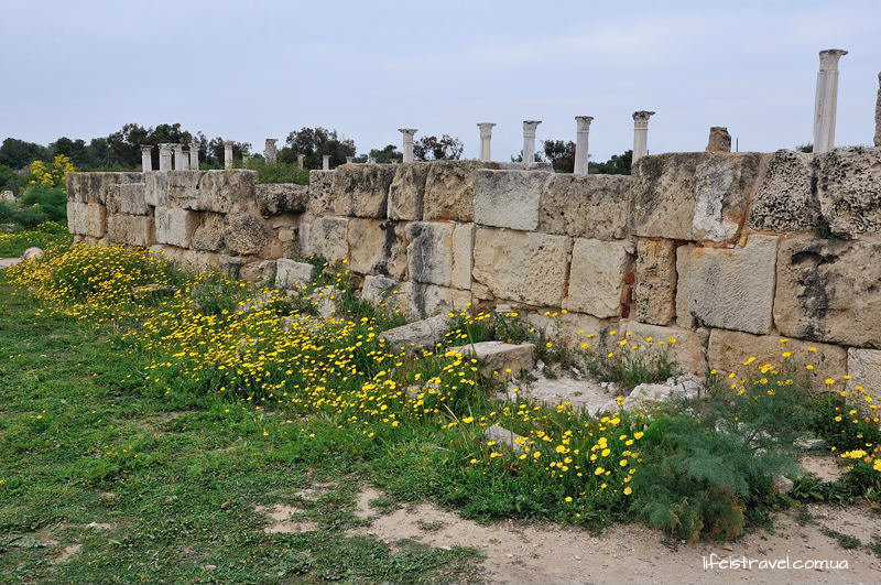 Саламис, Кипр