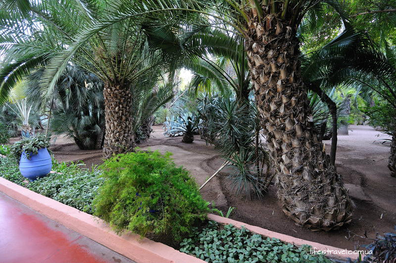 Марракаеш, Марокко, сад Мажорель