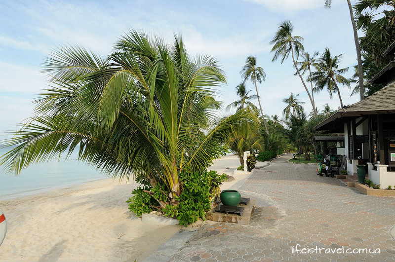 остров Phi Phi, Таиланд 