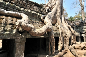 Камбоджа: Пном Пень и храмовый комплекс Ангкор