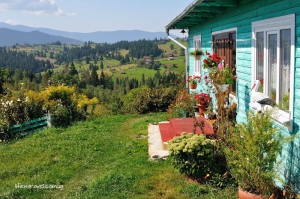 Отели в Карпатах, Яремче и Буковель